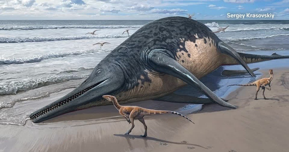 کشف اتفاقی استخوان بزرگترین موجود دریایی که ۲۰۲ سال قبل وجود داشت