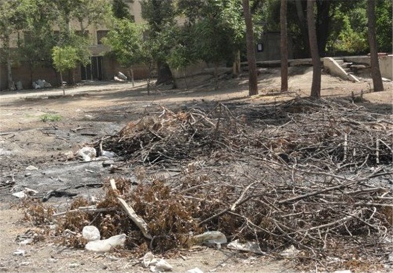 سقوط ده‌ها درخت در کرج +تصاویر