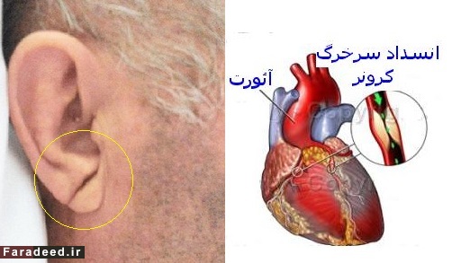 رازهایی از بدن که از آن بی‌خبرید!