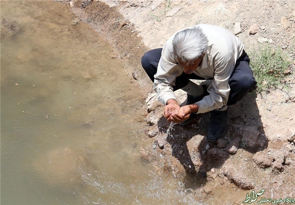 اینجا انسان و حیوان هم‌پیاله‌اند+تصاویر