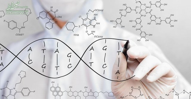 تغییر طرح بال پروانه‌ها با اصلاح ژنتیکی +تصاویر