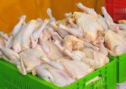 فروش مرغ بالاتر از ۱۰ هزار تومان ممنوع شد