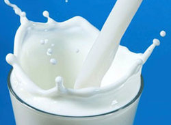 تولیدکنندگان شیر دست به دامن حجتی شدند