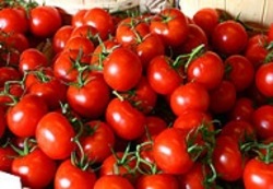 نسخه گرانی گوجه‌ فرنگی هفته آتی پیچیده می‌شود