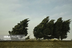 هشدار هواشناسی نسبت به وزش باد شدید در ۱۳ استان