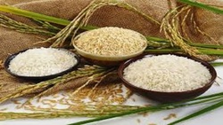 قیمت مصوب برنج مشخص شد
