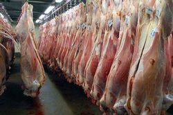 قیمت مرغ و گوشت بعد از دهه محرم؟