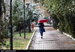 بارش برف و باران در ۳۰ استان