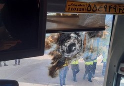 پرتاب‌کنندگان نارنجک به سمت اتوبوس پرسپولیس دستگیر شدند