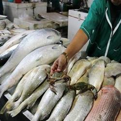 قیمت اقلام اساسی در ۲۱ مرداد/ نرخ انواع ماهی در بازار
