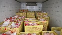 توزیع روزانه ۱۲۰۰ تن مرغ گرم و منجمد در تهران