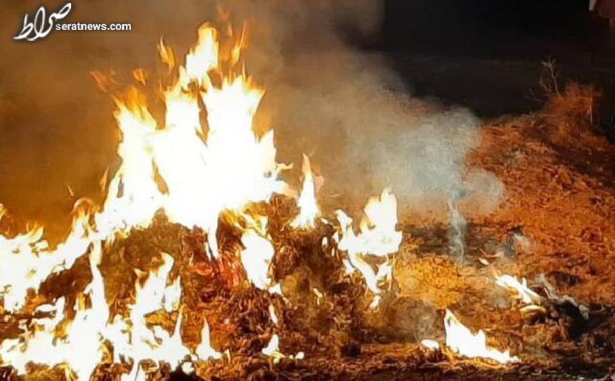 پسماندسوزی، از عوامل مهم آلودگی هوای تهران