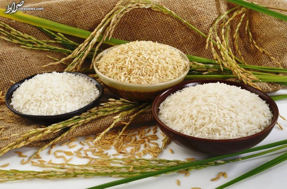 قیمت انواع برنج در بازار آزاد امروز ۸ آذر ۱۴۰۱ + جدول
