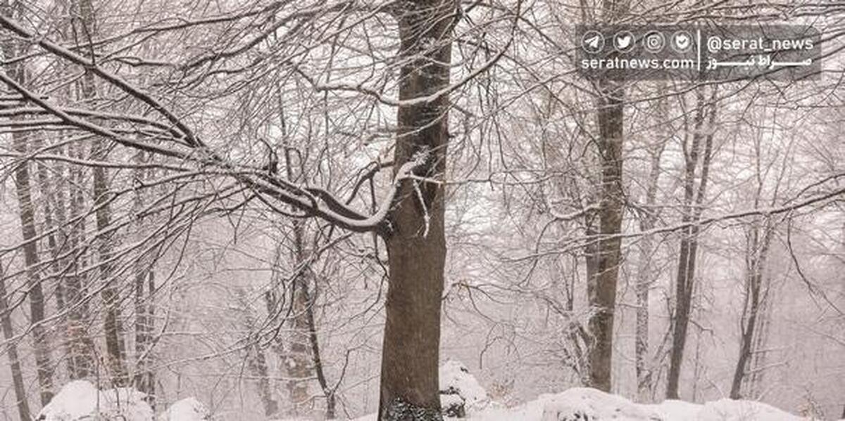 ورود سامانه بارشی به کشور طی چهارشنبه