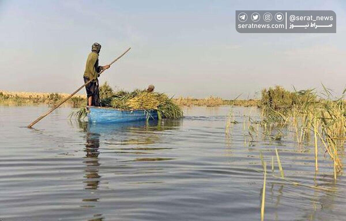 ضرب العجل دو ماهه برای گرد و غبار سیستان