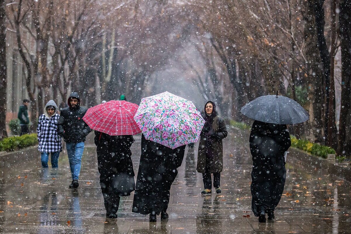 ۵ دلیل که آلرژی زمستان را تشدید می کند