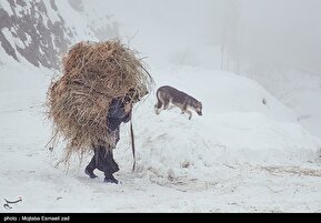 طبیعت برفی روستاهای بخش انزل ارومیه