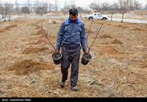 تصاویری از مراسم درختکاری پویش جان ایران - همدان