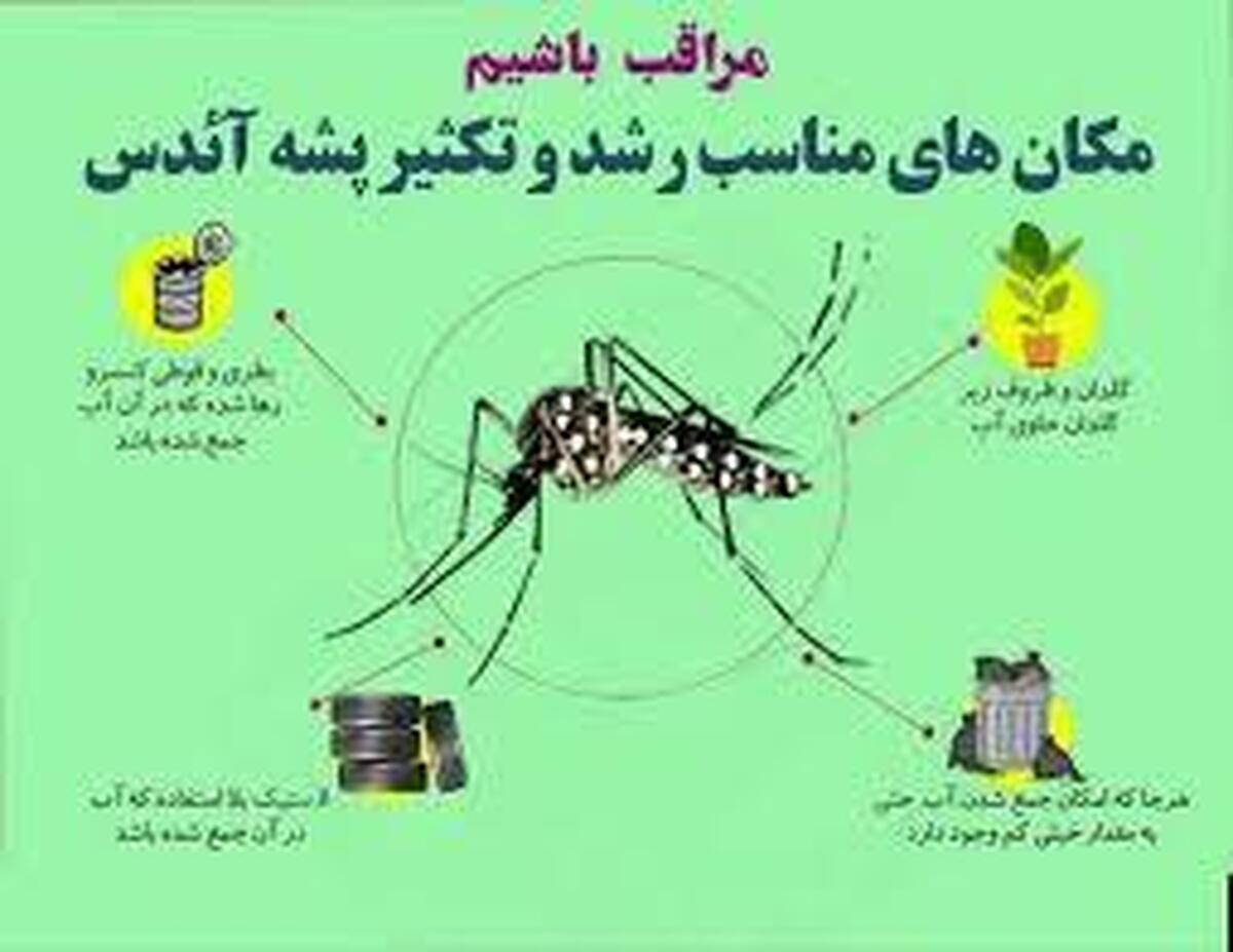 فرماندار آستارا: مردم به هشدارها برای جلوگیری از تکثیر پشه آئدس توجه کنند