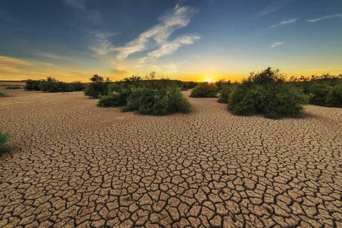 تا ۱۵ سال دیگر، استان گلستان بیابان می‌شود، مگر اینکه اقدام جدی رخ دهد