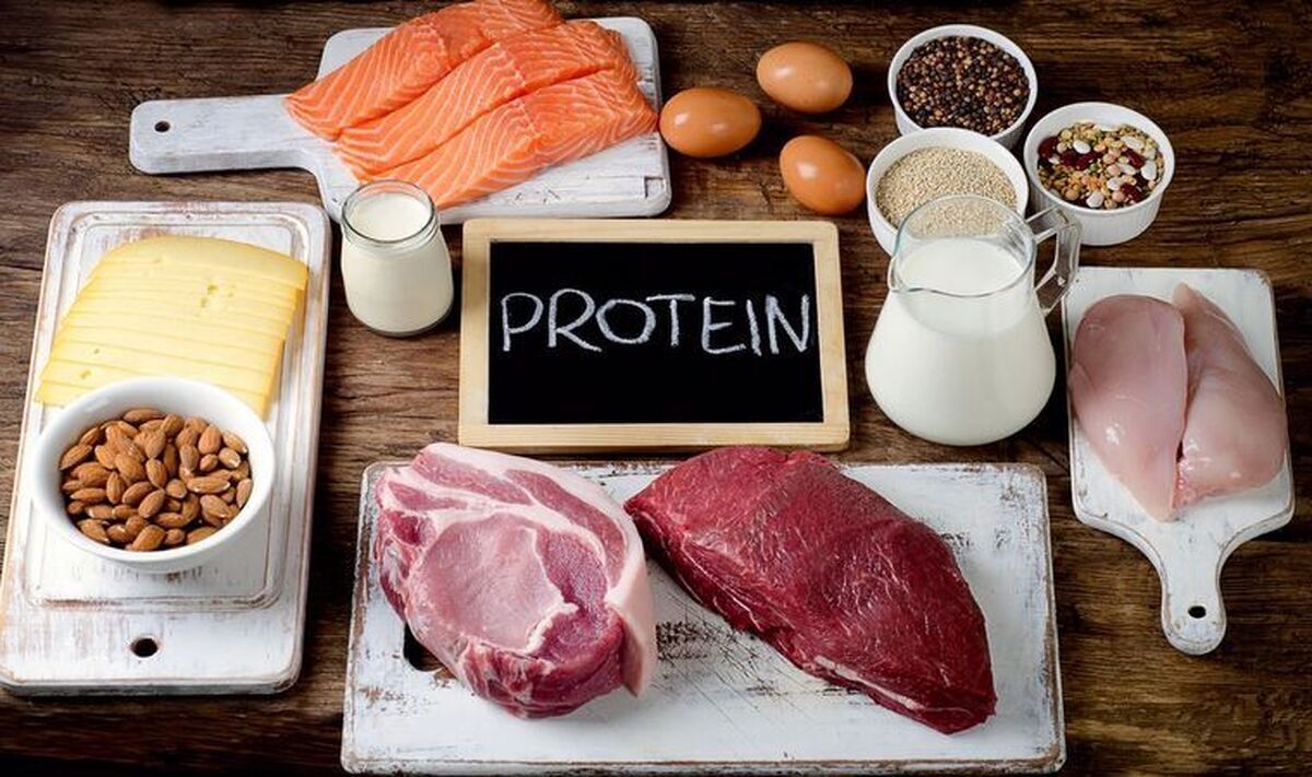 چرا هر روز باید پروتئین مصرف کنیم؟