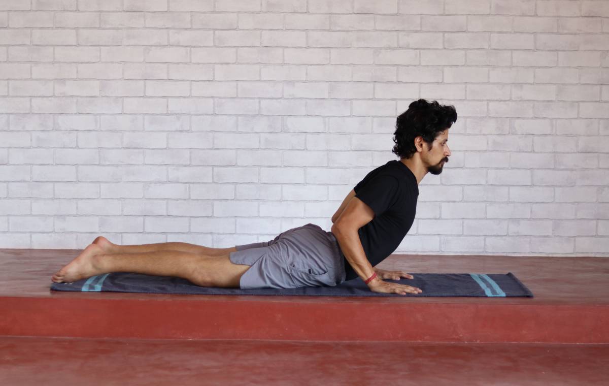 حالت مار کبرا (Bhujangasana)